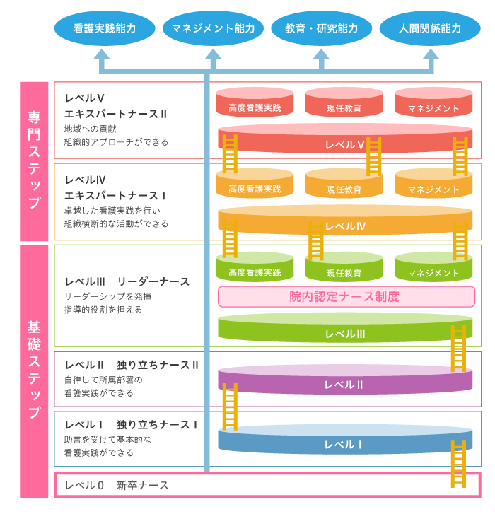 キャリア開発ラダ―の基本構造